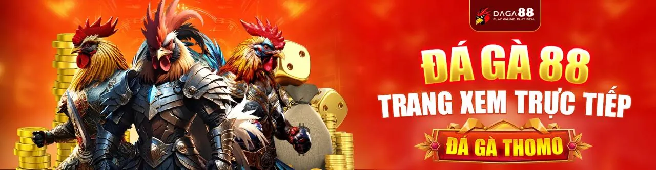 Hình ảnh hỗ trợ khách hàng vvvwin code