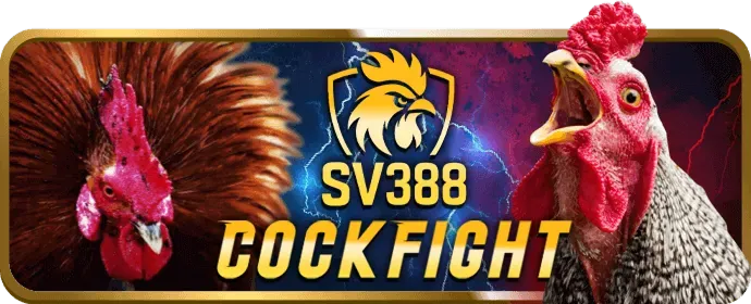 Chương trình VIP vvvwin code